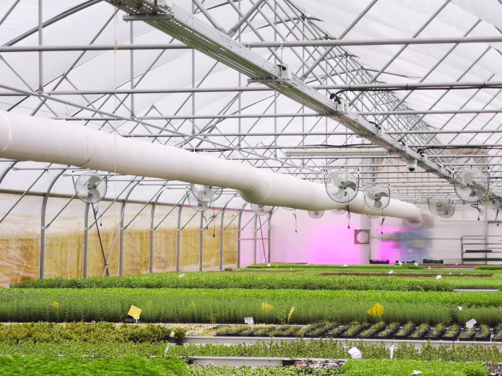 Microgreens pregătește venirea la bursa de la București. Compania antreprenorială atrage 500.000 de euro de la Vlad Popescu, Alex Cristescu și Marius Alexe, administratori ai Norofert