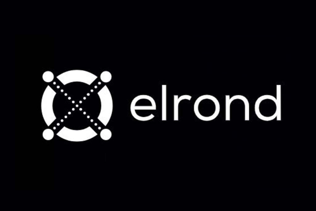 Start-up-ul de blockchain Elrond din Sibiu anunță o capitalizare de piață de peste 5 mld. $; compania pregătește noi produse