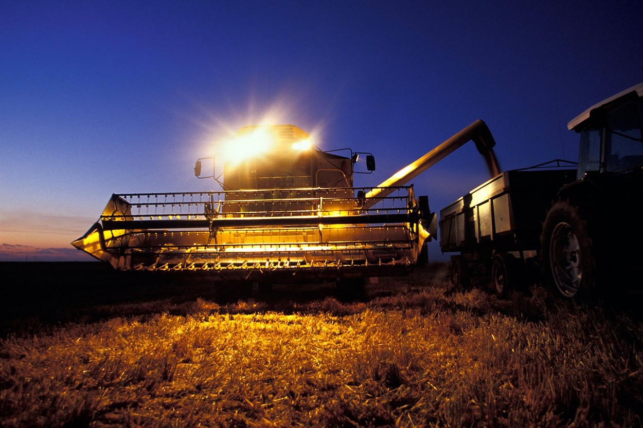 FAO: Prețurile alimentelor, la maximul ultimilor 10 ani. Față de septembrie 2020, prețurile s-au majorat cu 33% la nivel global