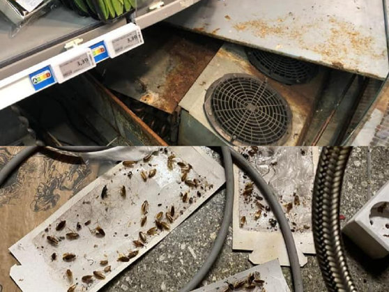 Gândaci, rugină și produse expirate. Inspectorii ANPC vor să închidă temporar patru magazine din Capitală dintr-un lanț cunoscut