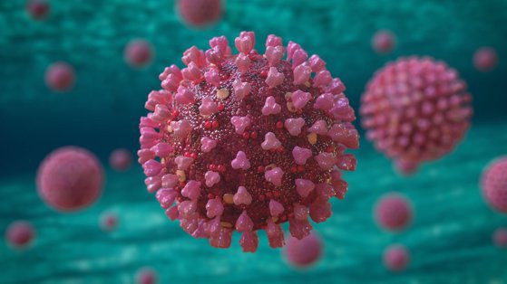Previziunea sumbră: Decese COVID din Europa vor depăși 2 milione în primăvară. OMS recomandă abordare "vaccin plus"