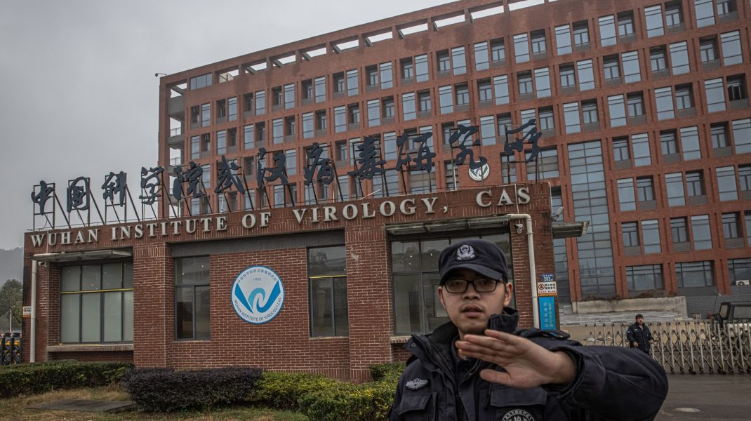 China ar putea declanșa o nouă pandemie. 18 virusuri „cu risc ridicat” au fost descoperite în piețele agroalimentare