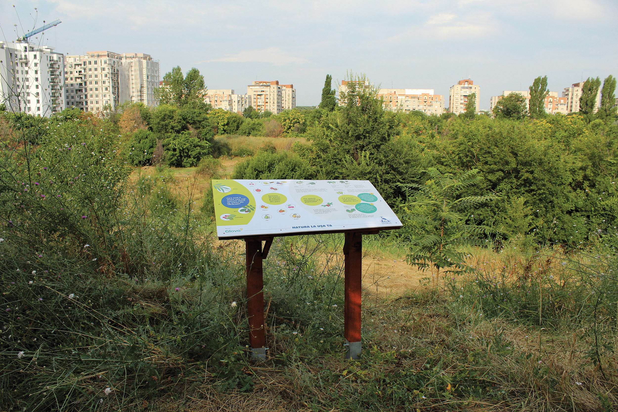 CSR 2021: Glovo livrează natura în Parcul Național Văcărești