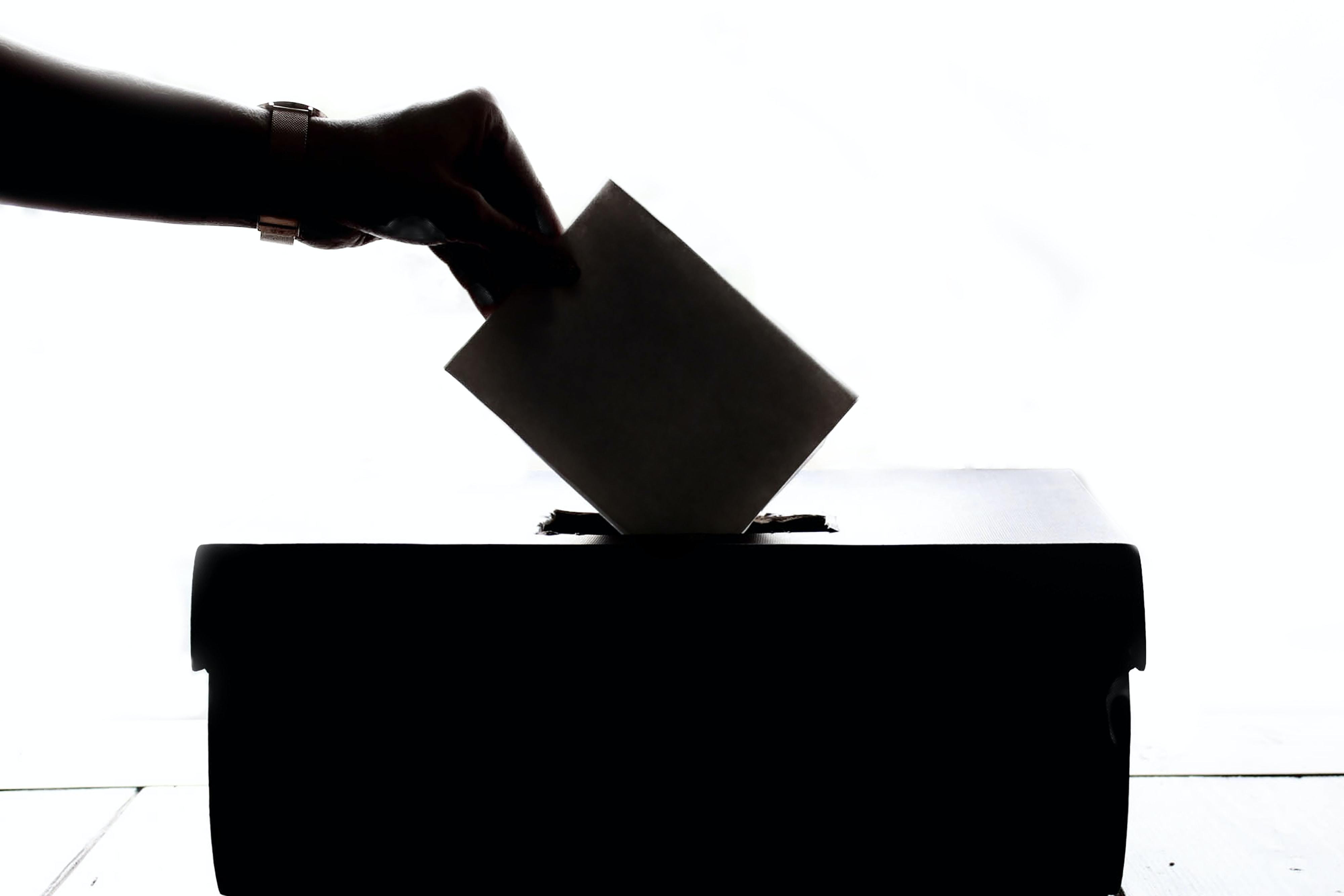 Care a fost reacția unui candidat după ce a primit doar un vot la alegeri: „Nici măcar familia mea nu m-a votat”