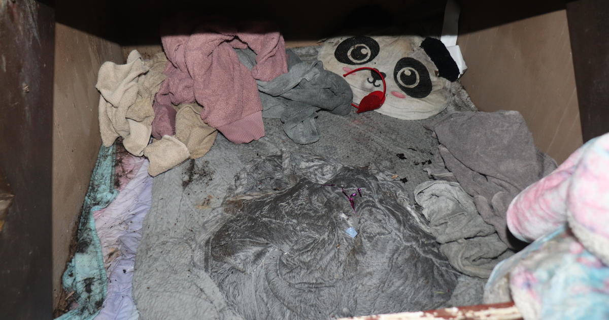 Fetiță răpită acum doi ani, găsită într-o cămăruță secretă sub scări. Amănuntul care le-a atras atenția polițiștilor. Unde s-a întâmplat