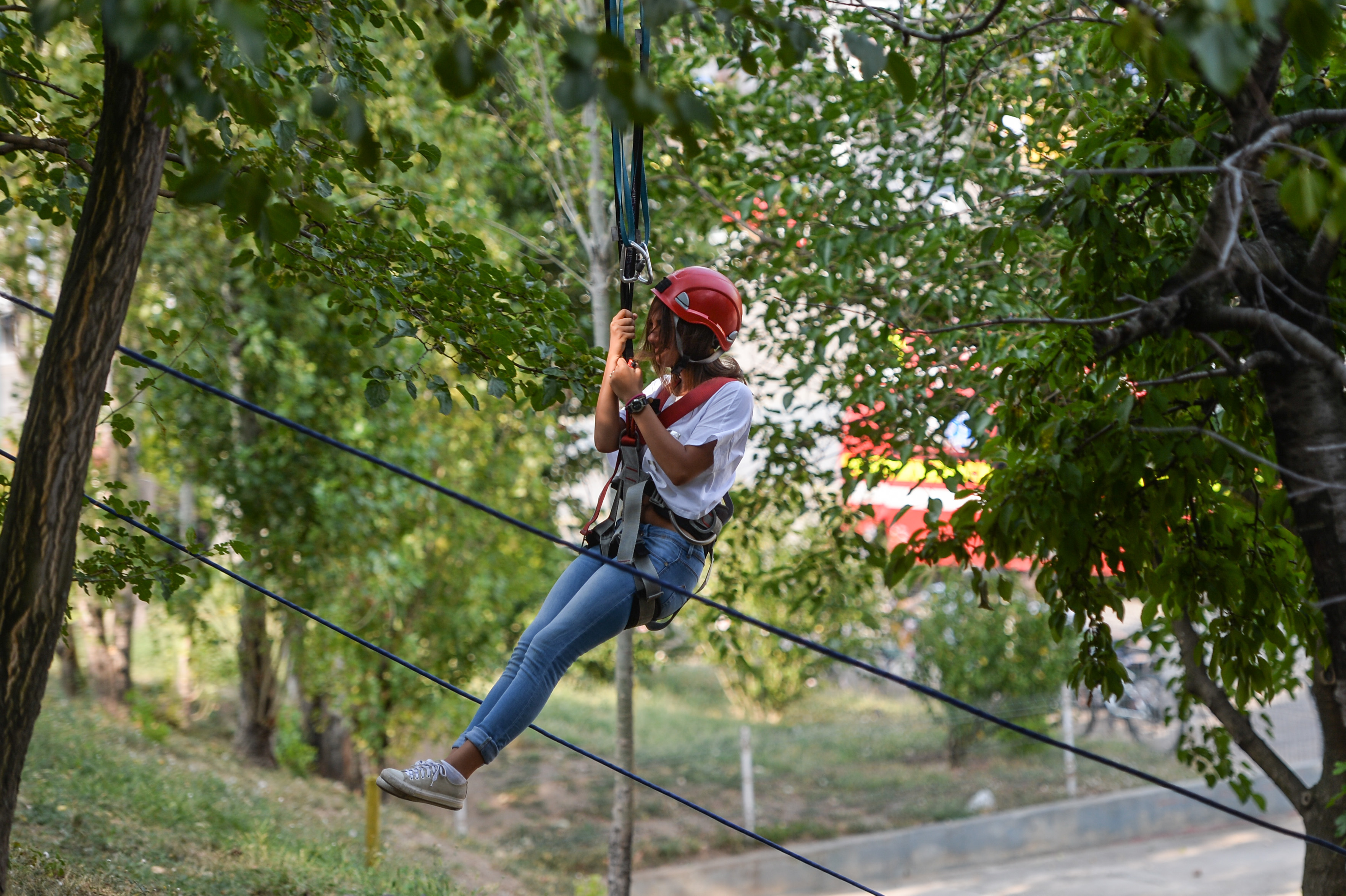 Un parc de aventură de milioane de euro va fi amenajat într-o pădure de lângă un oraș mare din țara noastră. Va avea peste 8 hectare
