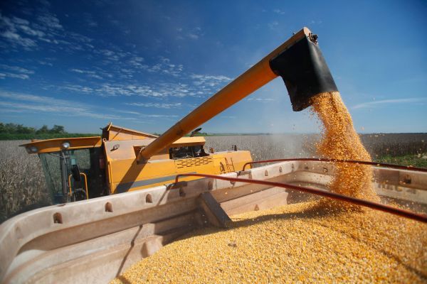 Ucraina face primele exporturi de cereale cu trenul spre Europa