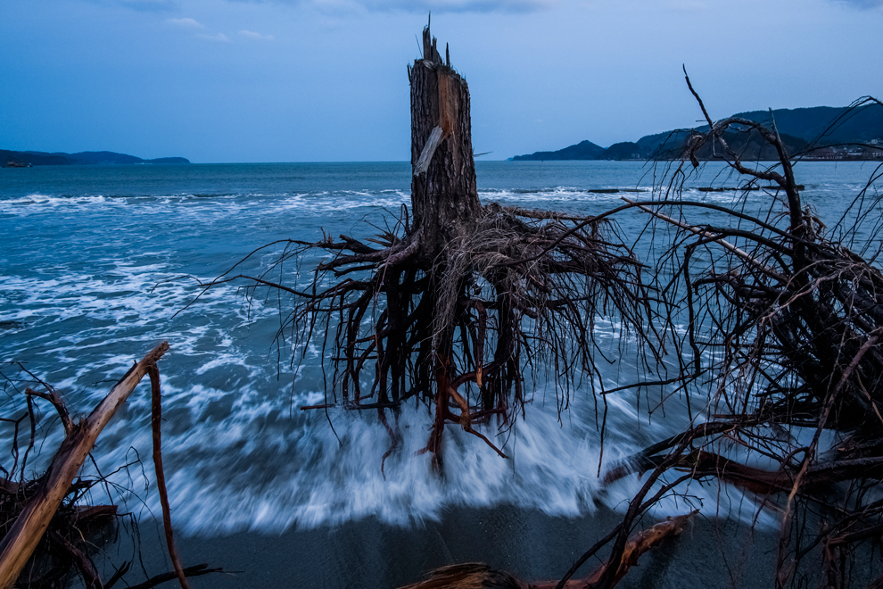 Cutremur agresiv cu magnitudinea 7,3 în Japonia. A fost declanșată alerta de tsunami