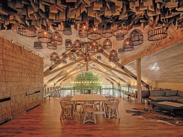 Cum a reușit un antreprenor să schimbe fața turismului din Bran? Restaurantul e construit în jurul unui copac și a câștigat locul 3 la nivel mondial la categoria Picture Perfect Restaurant. GALERIE FOTO