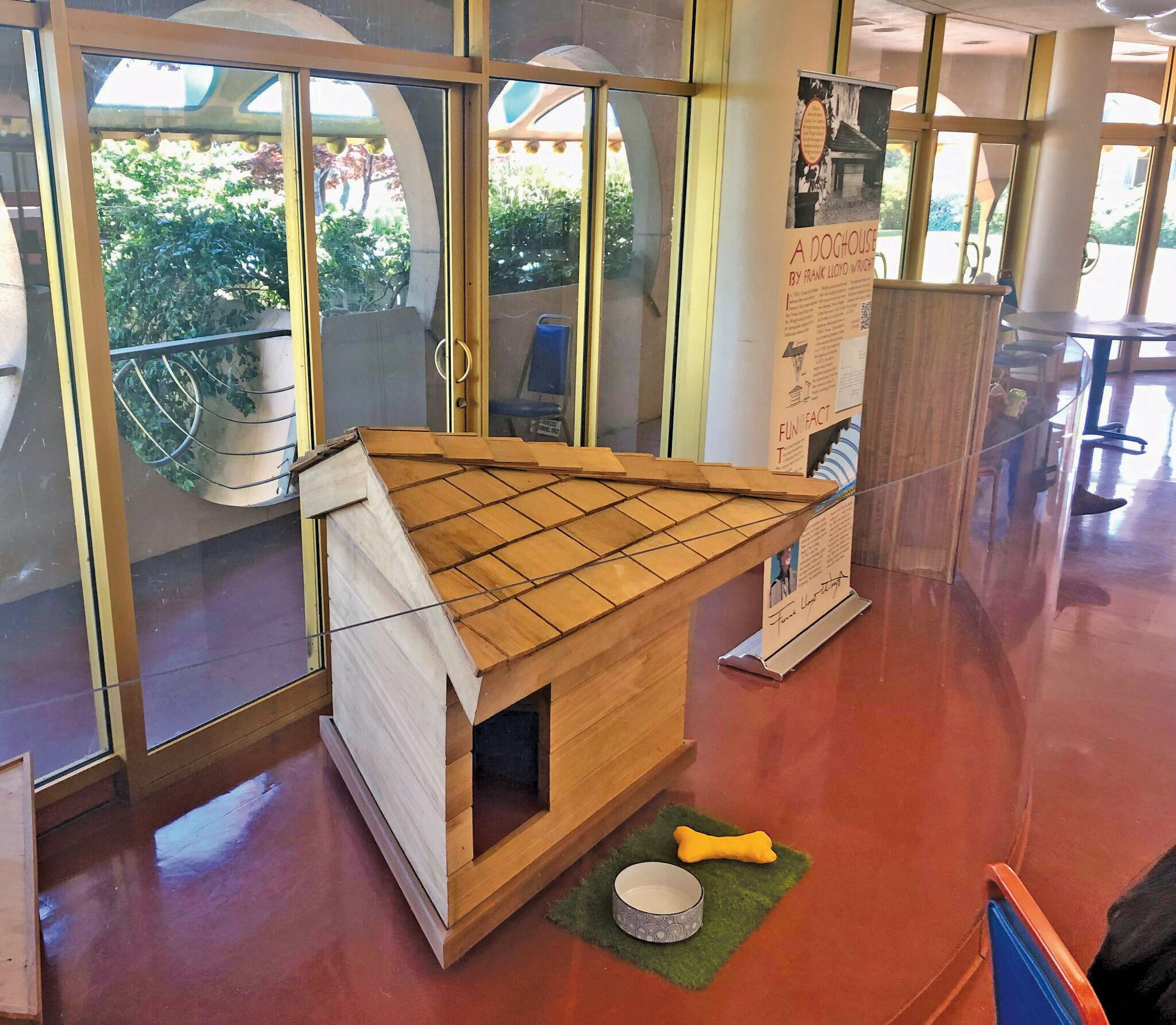 Arhitect pentru câini