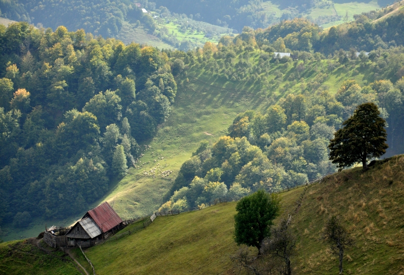 Care sunt cele șase sate din România care s-au înscris în competiția Best Tourism Villages, o inițiativă a Organizației Mondiale a Turismului