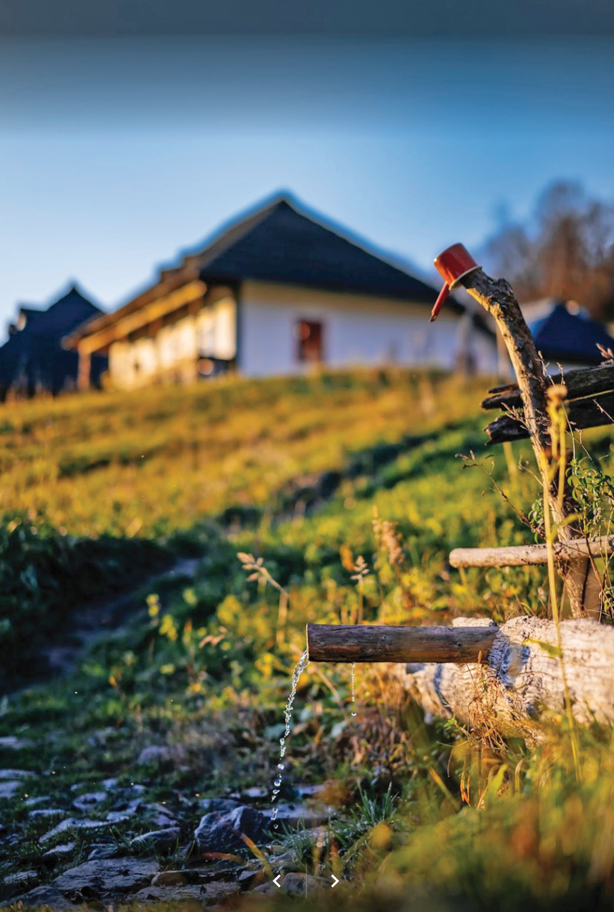 Un italo-german îndrăgostit de România a oferit un exemplu tuturor românilor care s-au săturat de țara lor: „Într-o zi, aici, trebuie să facem ceva! Este prea frumos să te trezești dimineața cu această priveliște!” Ei bine...
