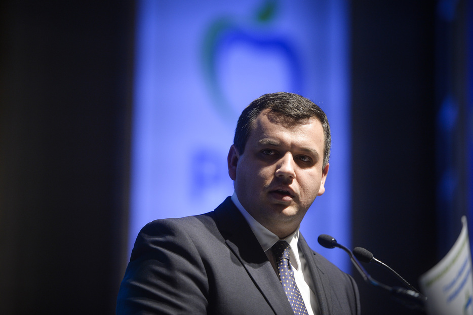 Europarlamentar român: UDMR nu s-a delimitat de V. Orban; trebuia invitată să părăsească guvernarea
