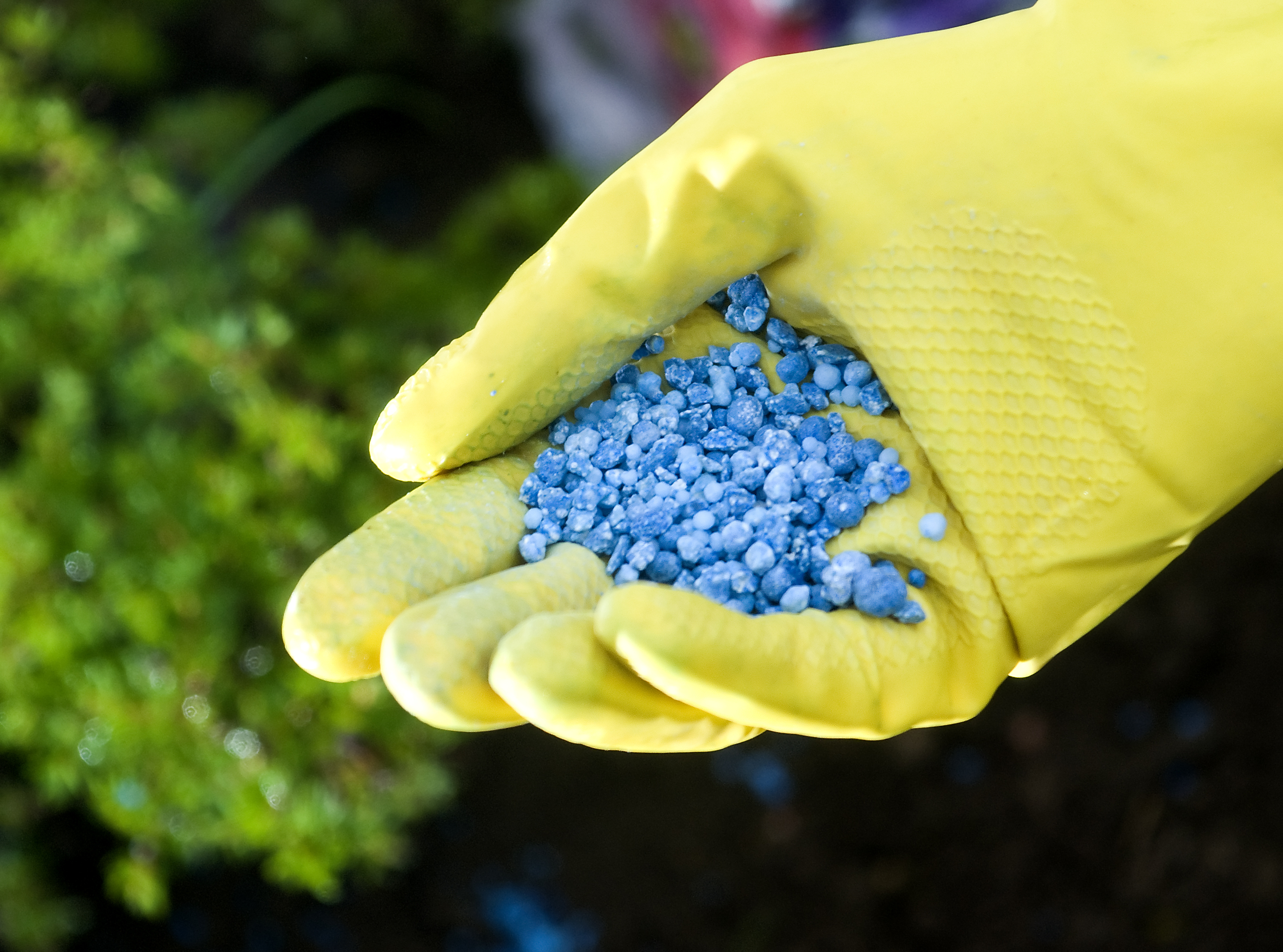 Bere, carne, lactate: penuria de dioxid de carbon creată de criza îngrășămintelor zguduie industria alimentară a Europei