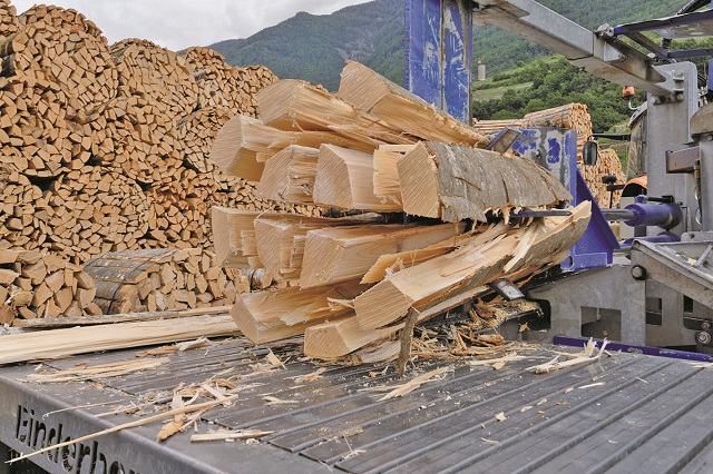 Industria mobilei rămâne fără fabrici din cauza lipsei lemnului: 7% dintre companiile producătoare de mobilă din România s-au închis, spune Asociația Producătorilor de Mobilă din România