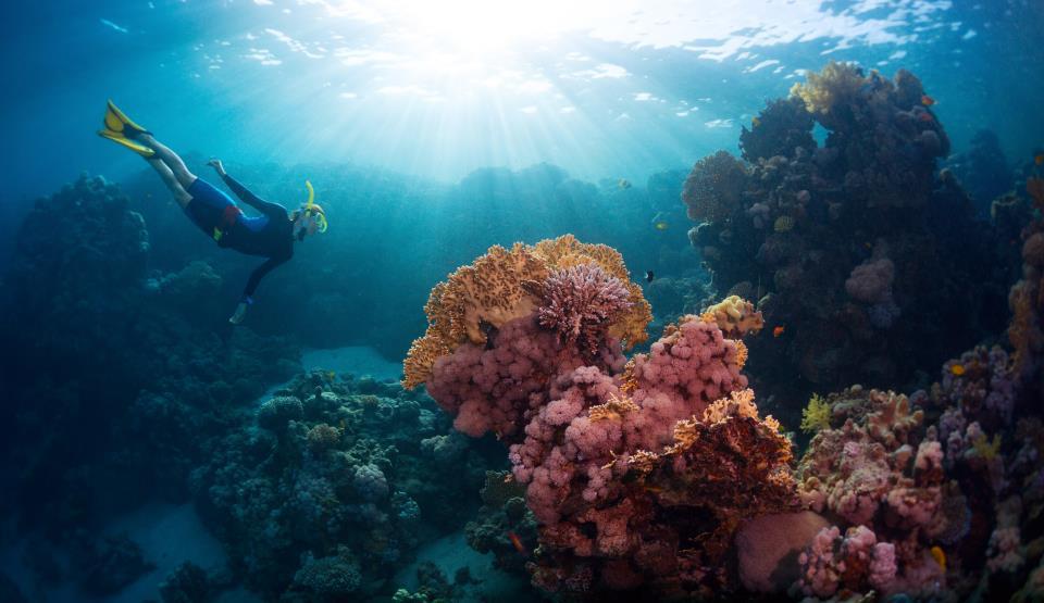 O insulă a apărut în Oceanul Pacific după erupția unui vulcan subacvatic