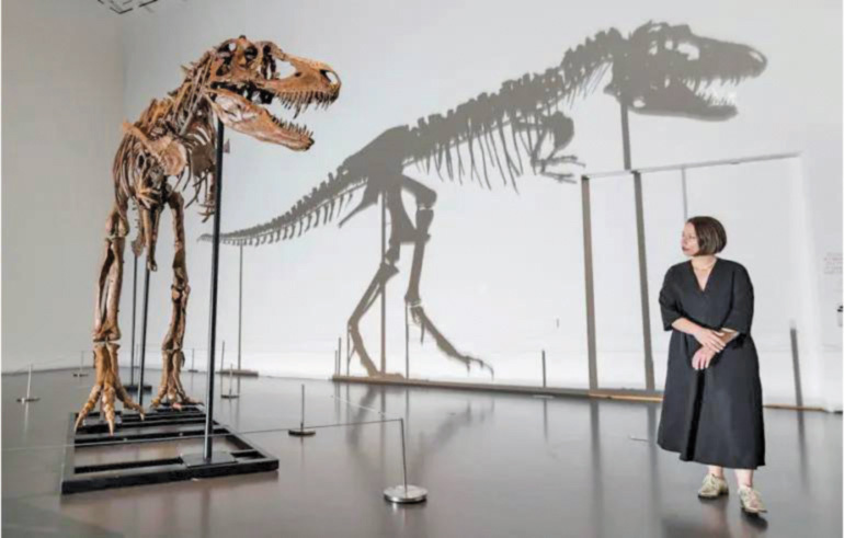 Accesorii preistorice: cum au ajuns bogații lumii să „vâneze” schelete de dinozaur