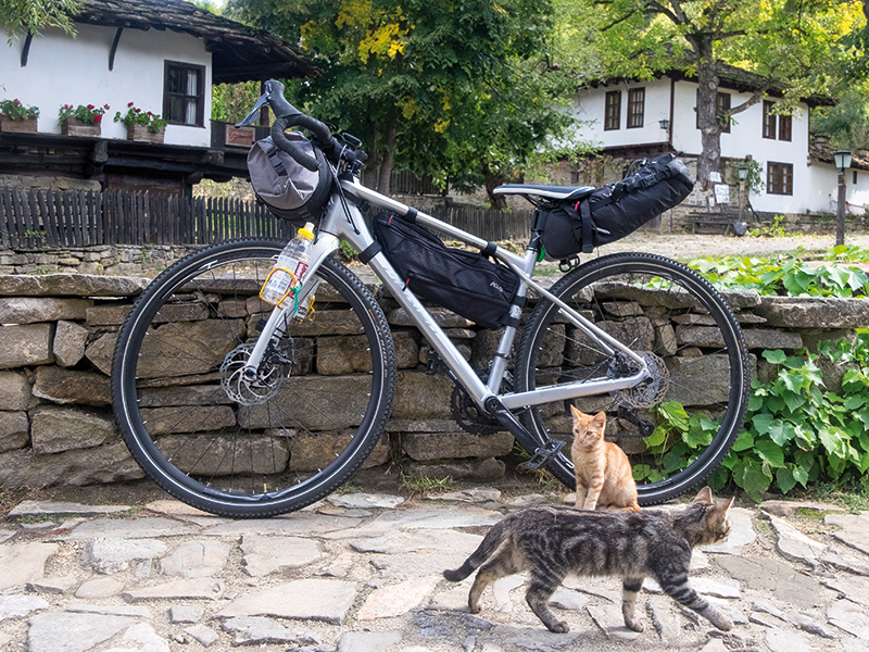 Oamenii care au adoptat animale în Ungaria le returnează, spunând că nu mai pot avea grijă de ele din cauza creșterii costurilor de trai și a prețurilor la energie