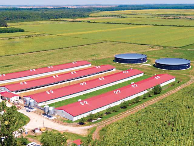 Cum și-a clădit gigantul Smithfield un grup cu afaceri de 2 mld. lei prin investiții și achiziții de companii antreprenoriale