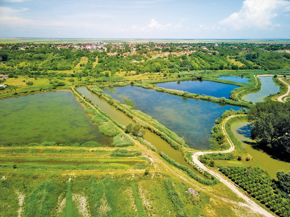 CSR 2022. Living Danube Partnership – Gârla Mare - Coca-Cola România