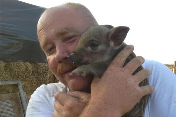 Povestea romanulul care crește cea mai scumpă rasă de porci din lume. Un kilogram de carne costa 100 de euro