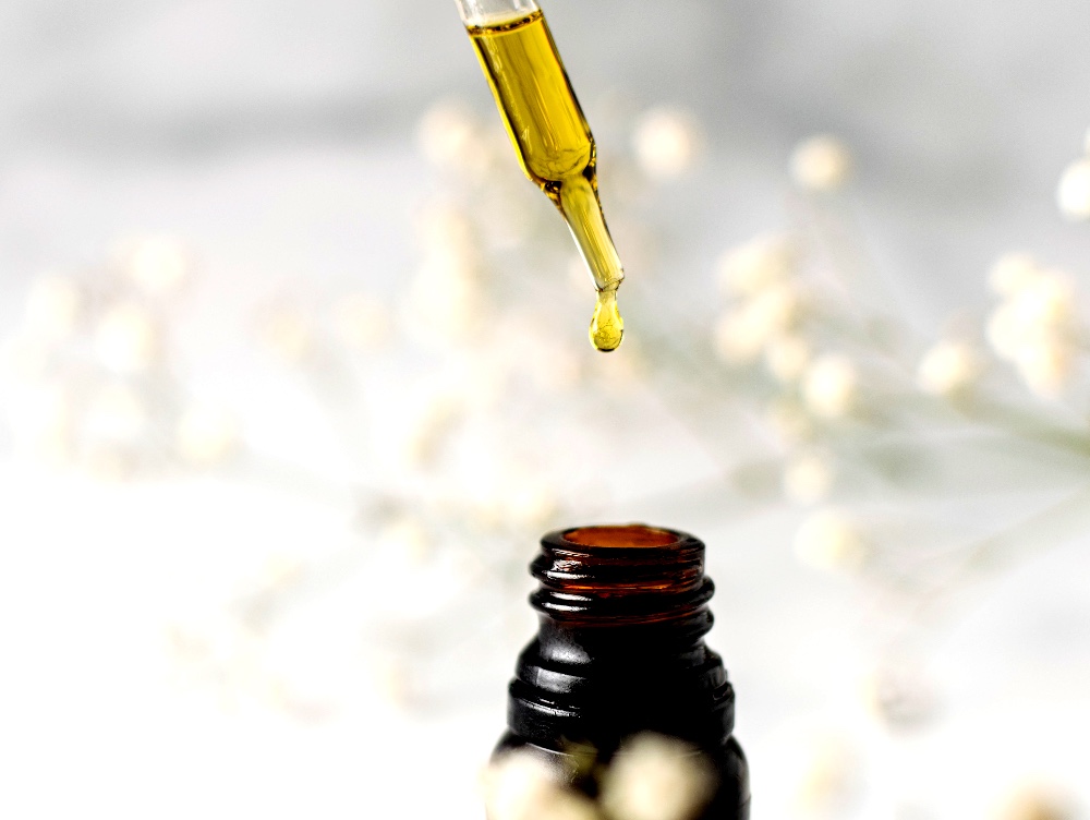 Cum a reușit un român să transforme o plantă într-o afacere profitabilă. Această plantă este folosita pentru a trata unele dintre cele mai îngrozitoare boli existente