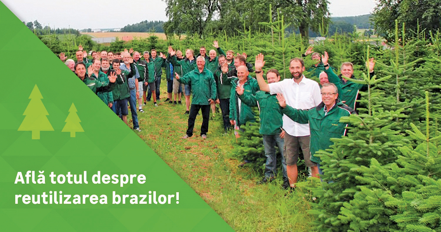 CSR 2022. Campanie de vânzare sustenabilă a brazilor de Crăciun - Leroy Merlin România