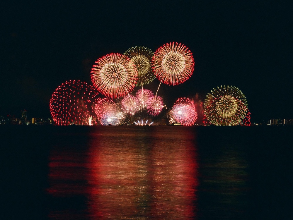 Focurile de artificii de Anul Nou dintr-un oraș britanic, anulate pentru a proteja o morsă