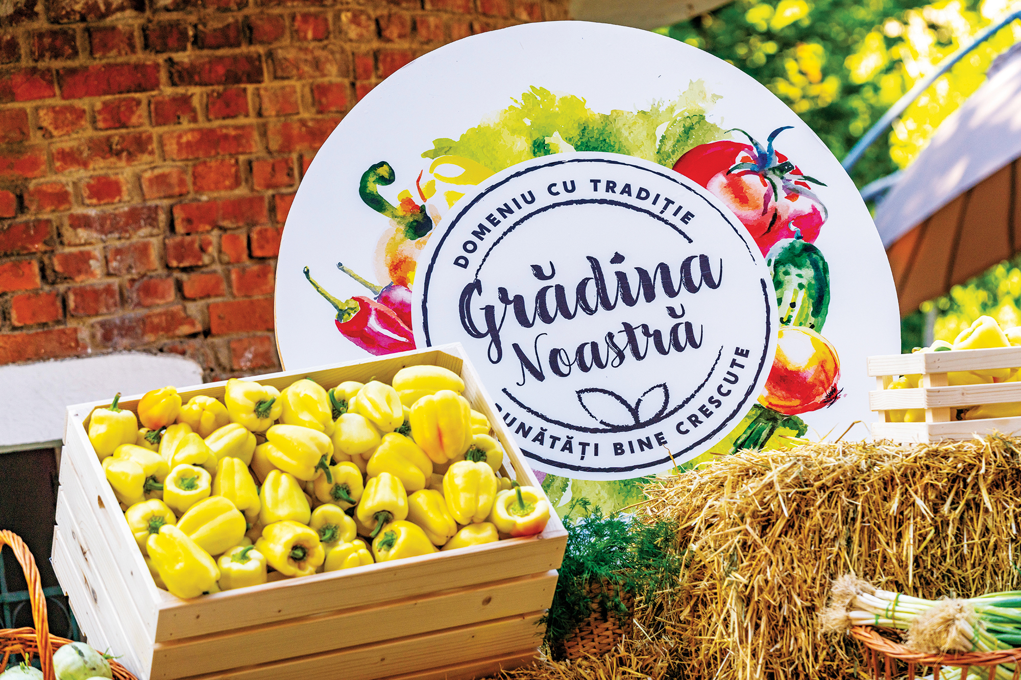 CSR 2022. Grădina Noastră - Carrefour România