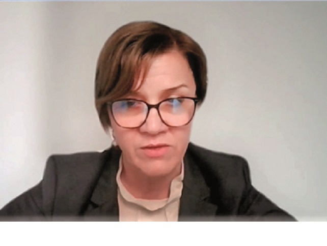 Companiile de Utilități din Energie critică un proiect de lege aflat pe agenda Guvernului și cer respectarea independenței ANRE în stabilirea tarifelor: Solicităm recunoașterea costurilor realizate de operatorii de distribuție, conform metodologiei de stabilire a tarifelor reglementate