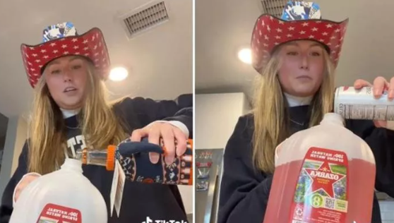 Borg, băutura alcoolică extrem de populară pe TikTok: ce este și de ce este periculoasă