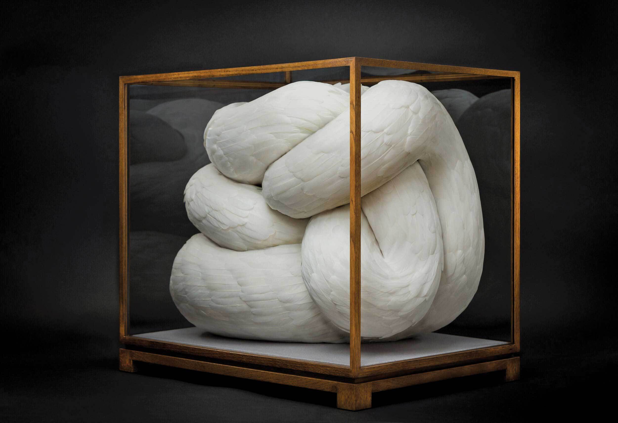 Sculpturi cu pene