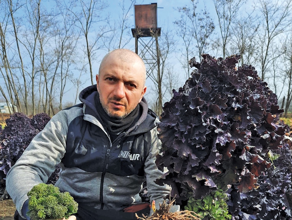 Doi frați din Amara au decis ca, pe lângă locul de muncă, să mai dezvolte și o afacere. Ce culturi exotice au ei și cum reușesc  să se descurce în lupta cu giganții externi