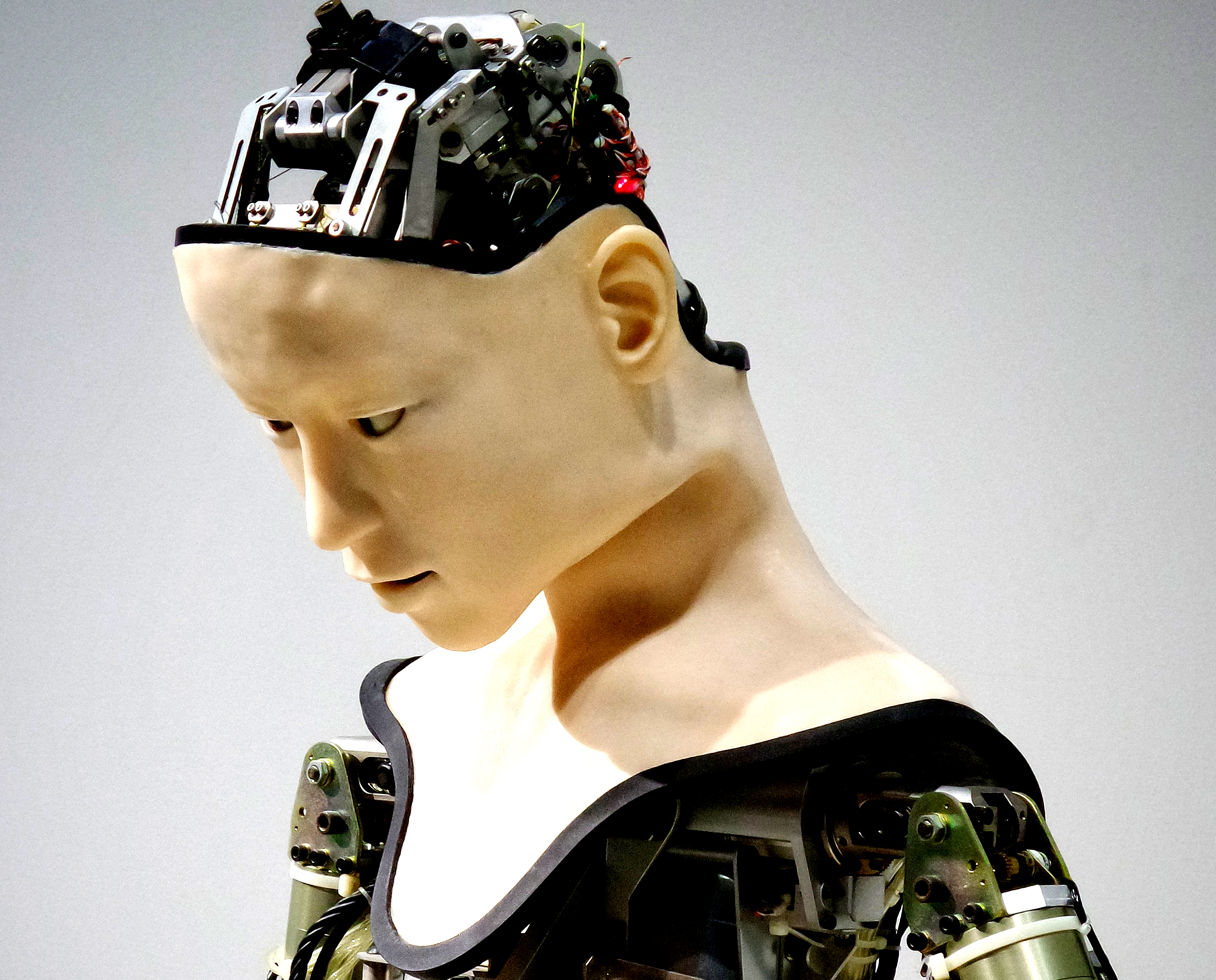Domeniile peste care vine apocalipsa inteligentei artificiale: Lista joburilor in pericol sa fie inlocuite cat de curand de roboti