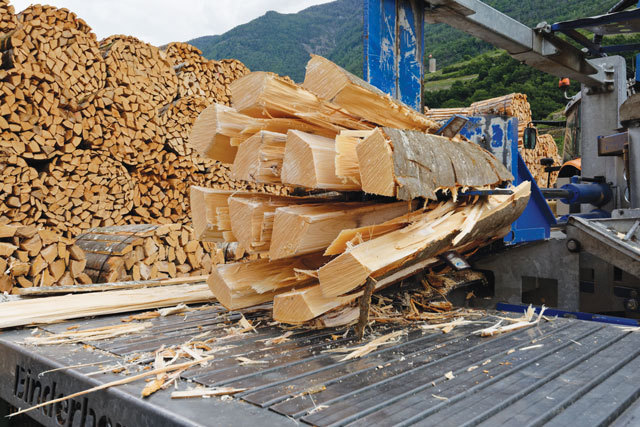 De ce au vândut austriecii de la HS Timber fabrica din Sebeș către Ziegler? „Aprovizionarea cu materii prime a fabricilor noastre devine din ce în ce mai dificilă. Limitările pieței din România și costurile prea ridicate ale importurilor de materii prime au condus la cea mai bună soluție atât pentru companie cât și pentru angajați“