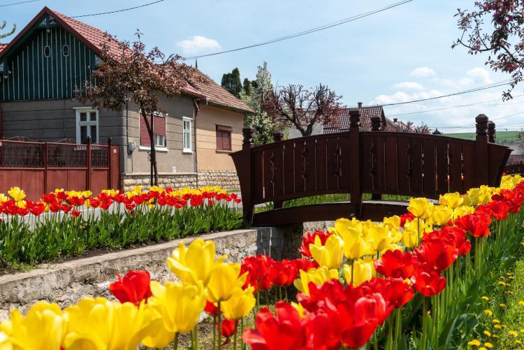 Omul sfințește locul! Comuna care arată ca un adevărat colț de rai. Turiștii cred că au ajuns în Olanda - FOTO