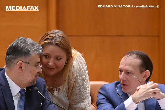 Șoșoacă și Ciolacu, schimb de replici dure în Parlament - VIDEO