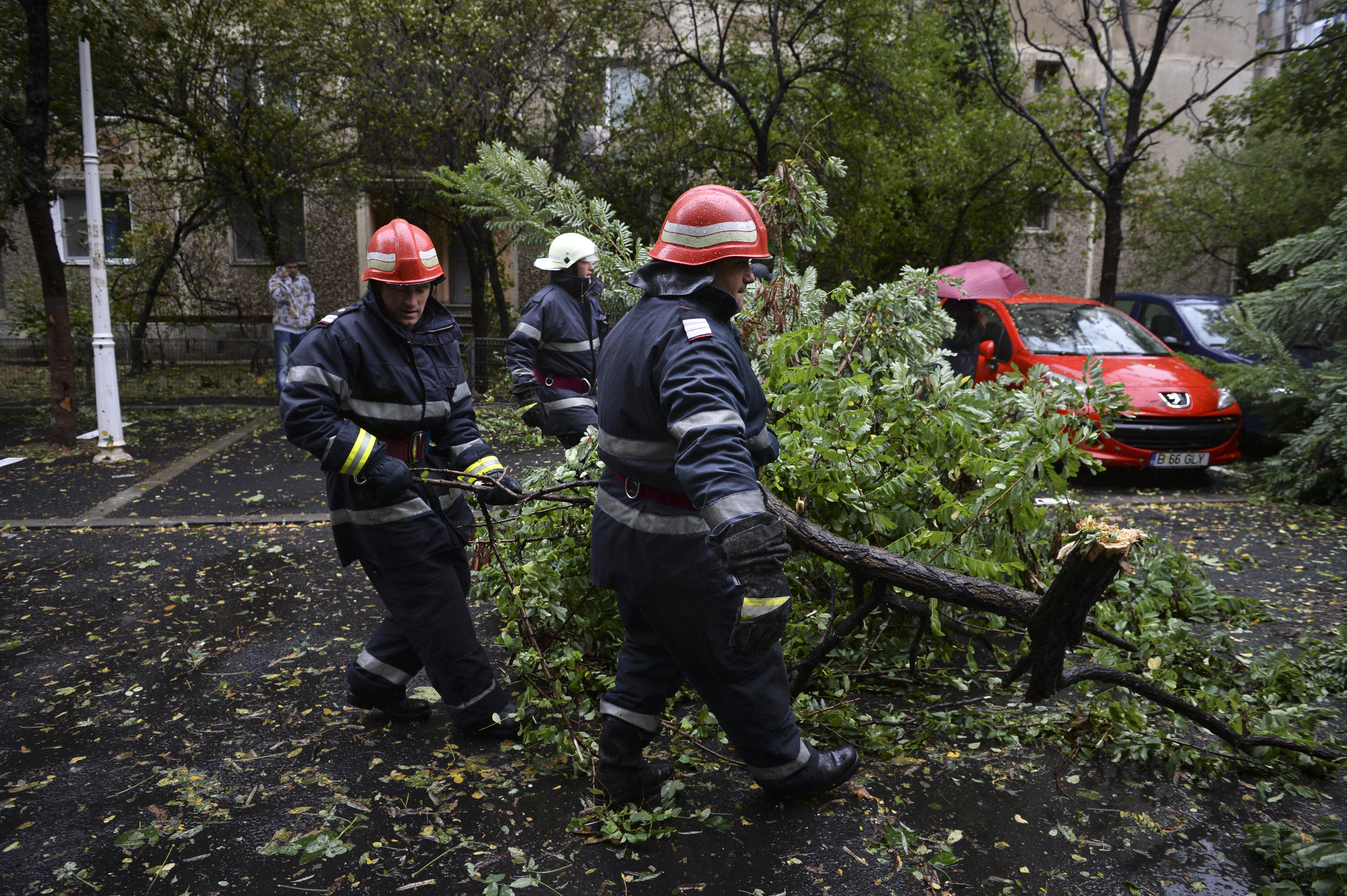 Hunedoara: 15 copaci rupți de vijelie, mii de oameni fără curent electric