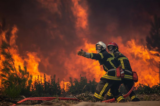 Europa, val de căldură necruțător. Incendiile de vegetație pârjolesc emisfera nordică