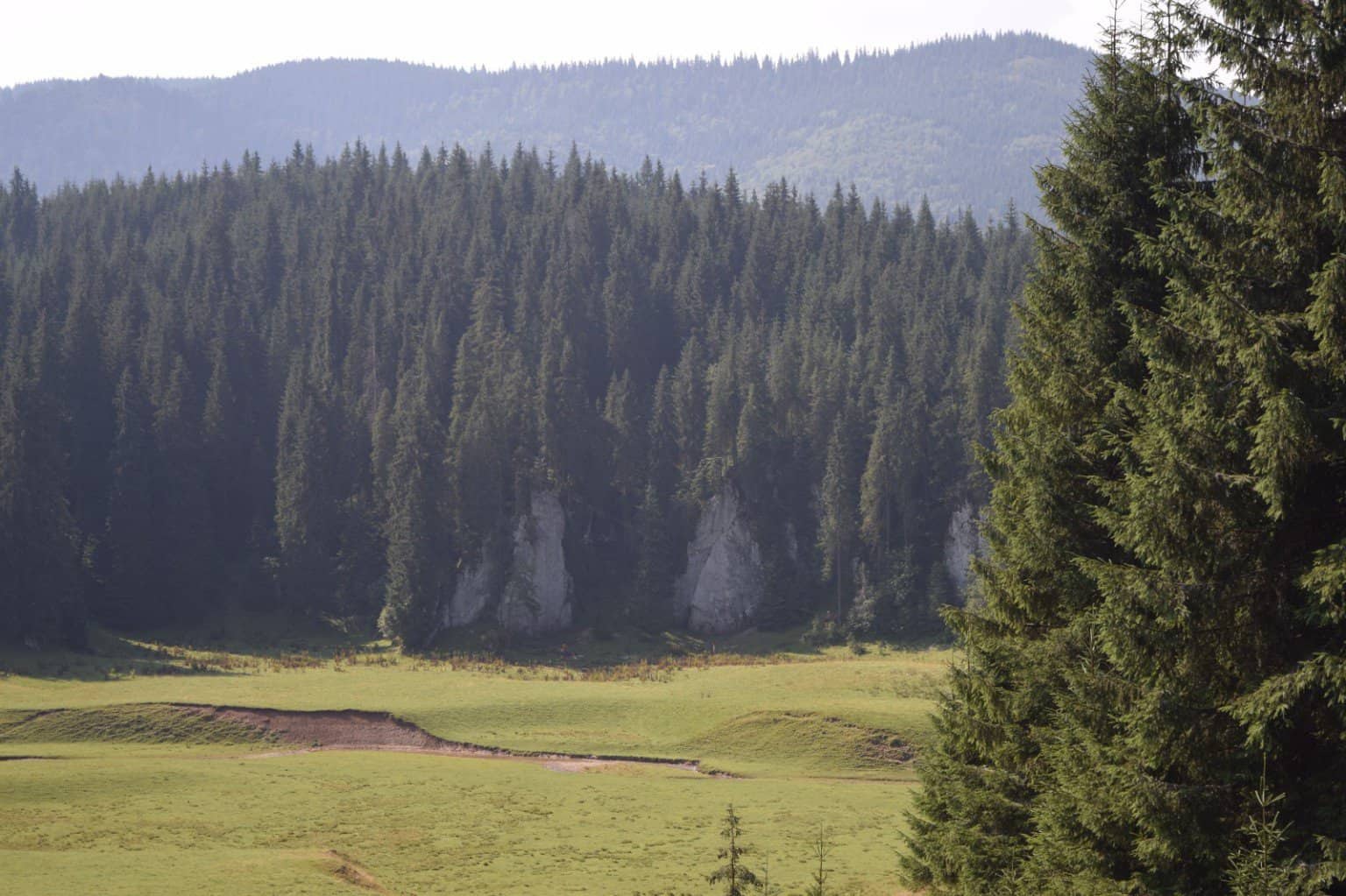 Care este una dintre cele mai FRUMOASE zone din Apuseni. Acces, descriere și obiective turistice