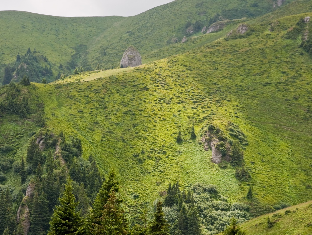 Care este nouă localitate superbă din România care a devenit a opta destinație ecoturistică din țara noastră