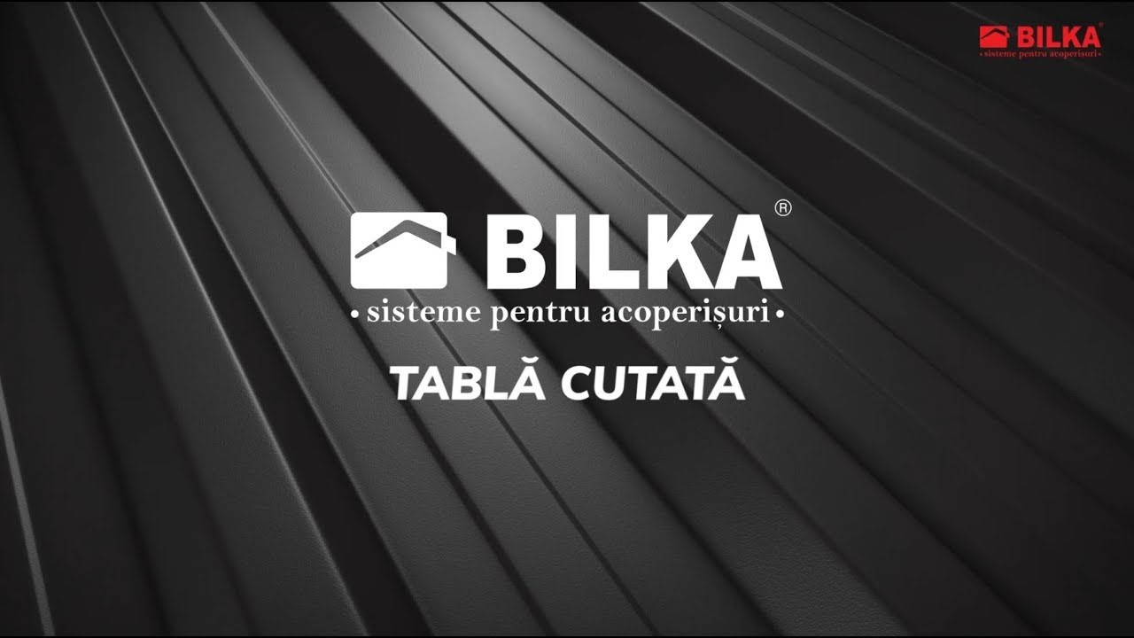 Materiale de top pentru un acoperiș discret