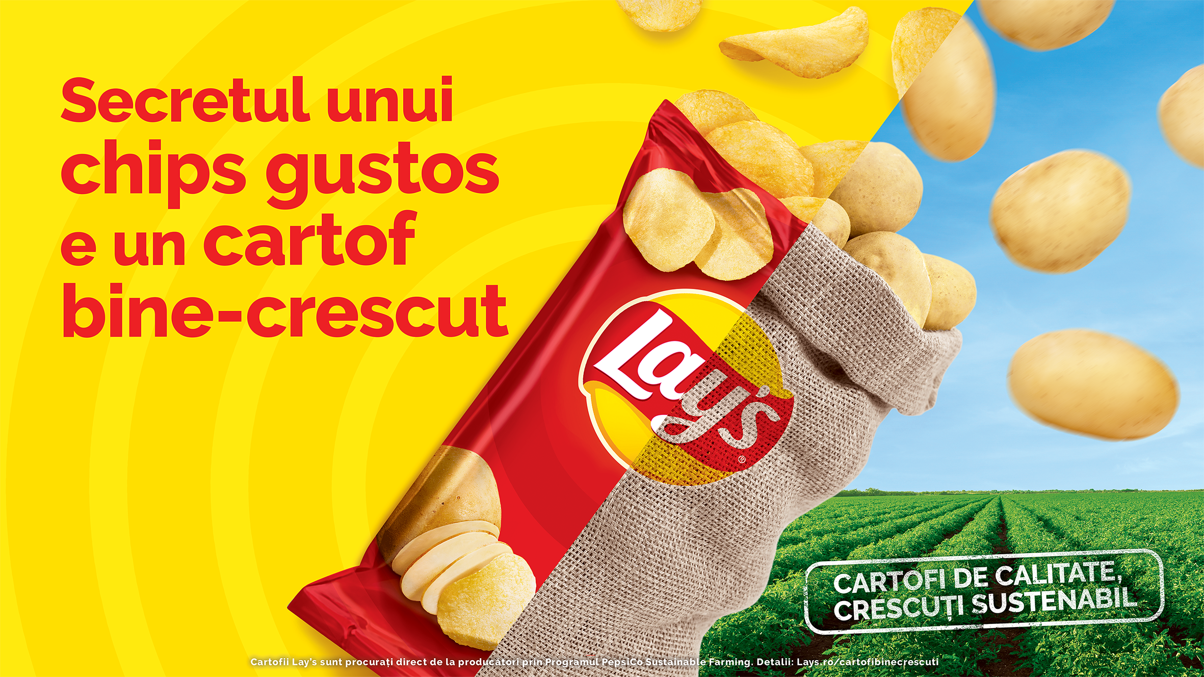 (P) ROMÂNII ȘTIU SECRETUL UNUI CHIPS GUSTOS: CARTOFII DE CALITATE