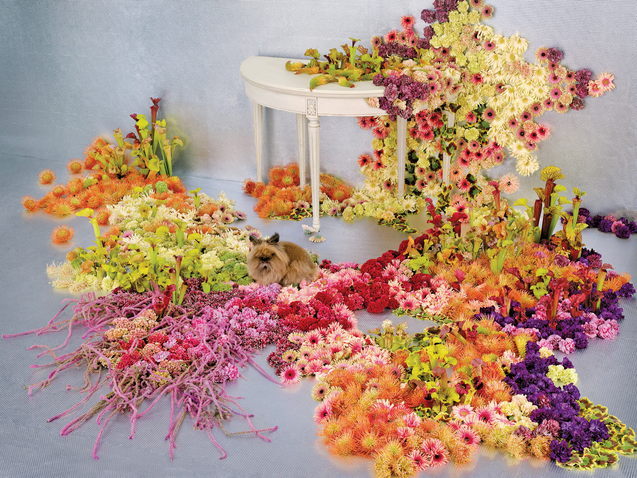 Jos cu florile: artiștii florali au renunțat la vaze de ceva vreme și preferă să urce florile pe pereți sau tavan, dar mai recent unii au început să le pună pe podea