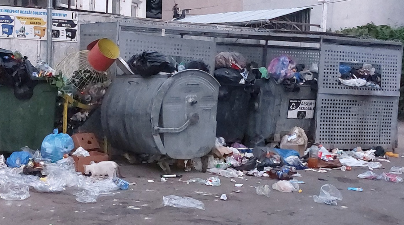 Orașul din România care a ajuns să fie îngropat în gunoaie! Imagini ireale făcute publice