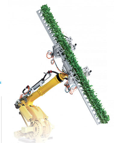 O hrană cât se poate de verticală. Cum și-a propus un startup din San Francisco să revoluționeze agricultura