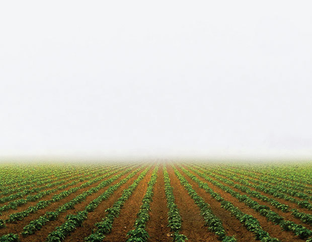Securitatea alimentară devine una dintre cele mai mari probleme ale planetei, iar soluția este una care nu e văzută cu ochi buni. Specialiștii au spus care ar putea fi viitorul agriculturii