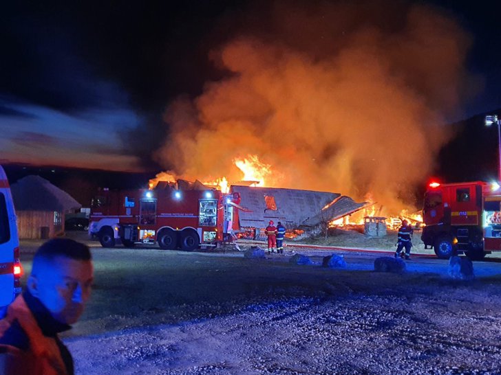 Ferma Dacilor, reacție după tragedia de Crăciun: Au murit oameni pe care îi iubim cu tot sufletul