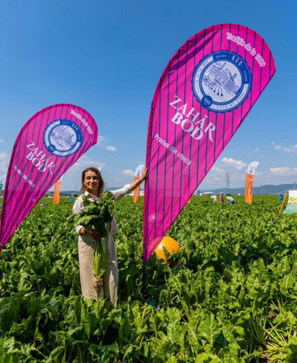 APEL CĂTRE FERMIERI: „În Ardeal, încă se muncește!”, consideră Mihaela Neagu, acționarul fabricilor de zahăr Bod și Luduș