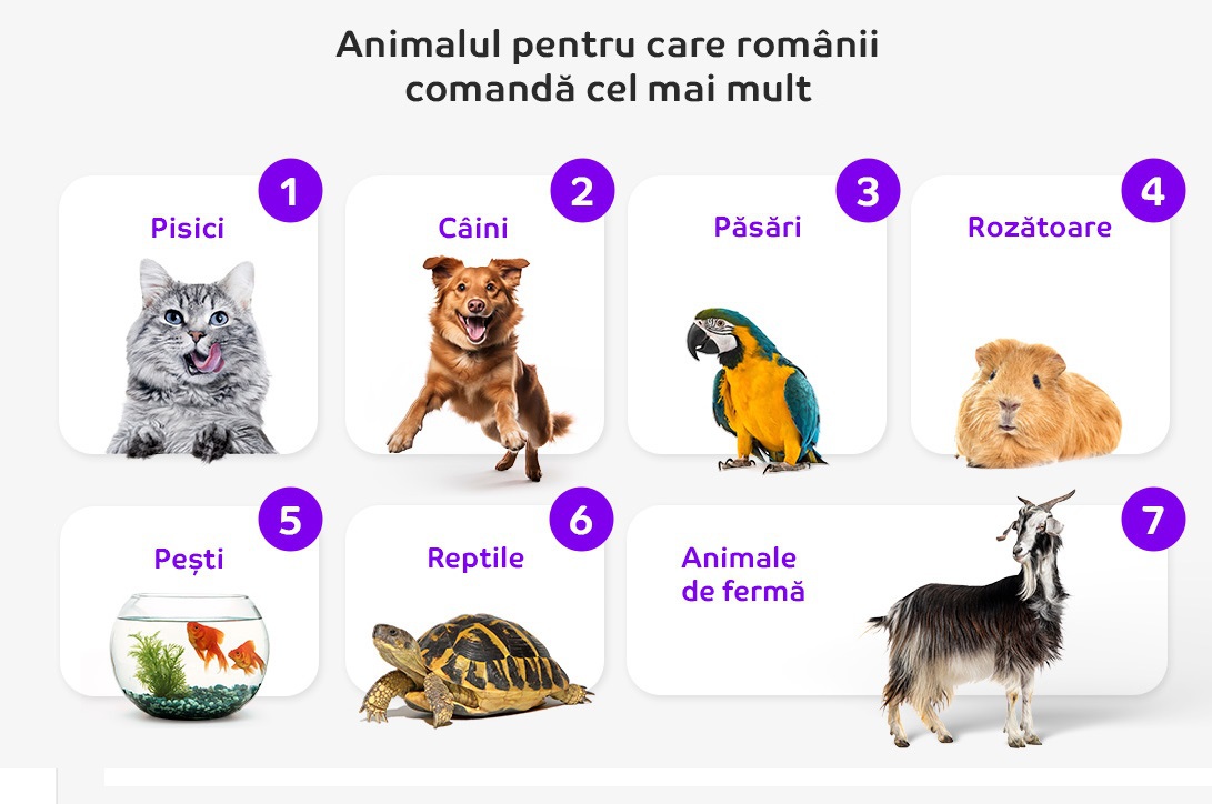 eMag lansează un shop-in-shop pentru animale de companie, al 7-lea magazin de acest tip în cadrul platformei